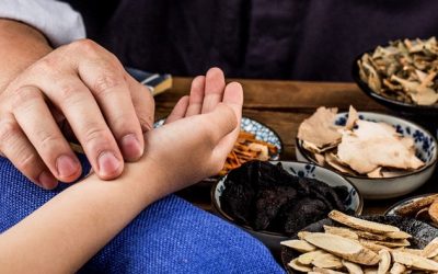 Teoría de las Sustancias vitales en Medicina China