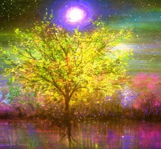 Me siento súper agradecida por la preciosa luz de primavera sin contaminar, por el canto de las miles de aves sin distorsines de aviones ni coches, por el aire muchísimo más puro y fresco, por el ejercicio diario, el buen clima y los excelentes momentos en los que puedo meditar, observar sin prisas, leer y danzar... el silencio nocturno... Todo un Regalo. No sé nada sobre tí, pero los primeros 10 días confinamiento, para mí, resultaron bastante estresantes al tratar de resolver los asuntos de la vida cotidiana y los muchos y graves problemas que surgieron para mi negocio y fuente de sustento (cerrado, con ERTE, sin ingresos, con muchos gastos...) Ahora lo estoy abrazando por completo y viendo claramente la "necesidad de un verdadero cambio en nuestro modo de vida" hacia un mejor, respetuoso paradigma y relacion con este Ser vivo con alma que es la Tierra que nos sostiene y alimenta. Tomemos un tiempo hoy para reflexionar sobre cómo la vida ha cambiado para todos... y, luego, reflexionar sobre estas preguntas: ❓¿Dónde y en Qué estoy ahora? ❓¿Qué siento al respecto? ❓¿Qué estoy dejando ir y soltando? ❓¿Qué siento se me pide mi Ser que haga de manera diferente? Pues... de esto que vivimos ahora, no se sale solo, se sale Tod@s Junt@s... Rescatando el concepto de Colectivo, de familia amplia, de Clan... de Tribu humana. Un modelo donde las personas logremos una calidad de vida más satisfactoria que nos lleve a un mayor bienestar con nosotros mismos en una “fluida y respetuosa” relación con el ambiente. Atendiendo a las verdaderas Necesidades, y que tengan en cuenta, como son, el derecho a trabajar, a tener una cobertura de salud, una vivienda acorde a las necesidades, a estudiar, a disfrutar de un verdadero tiempo libre. Necesidad de estimarse, de valorarse, de sostener a otros y de ser sostenido. Necesidades de pertenecer “ de sentirse parte de”, de incluirse, de relacionarse, de lograr vínculos satisfactorios. Necesidades de trascendencia, de lograr un desarrollo saludable, de crear, de crecer, de tener un proyecto de vida... Y, todo ello, en un modelo armónico y sostenible en el tiempo y respetuoso con nuestra Madre Tierra. #PachaMama